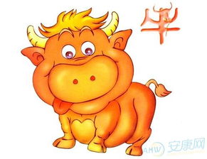 2026年出生属牛的女宝宝，有没有什么好名字可以改写为长尾？