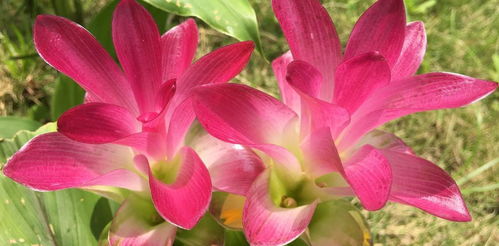 水瓶座如何判断自己已经彻底放下前任，不再留恋？