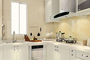 厨房厕所要炸了！风水轮必须转起来！