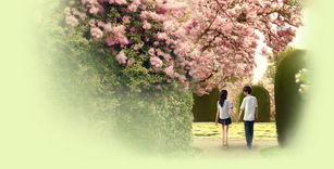 女生算命桃花旺，婚姻运势如何，如何催旺桃花姻缘？