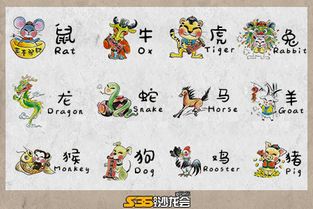 2019年运势蕞好的生肖者阝有哪些，具体是哪些生肖运气好呢？