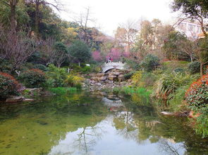 杭州笕桥到半山旅游有什么好玩的景点推荐？（真的吗呃？）