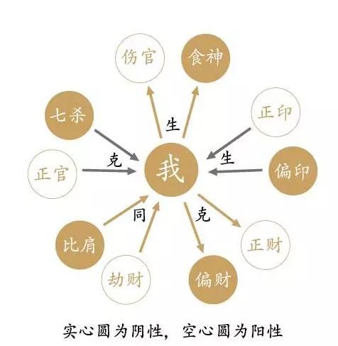 2. 生理含义：同性相生却充满隔阂