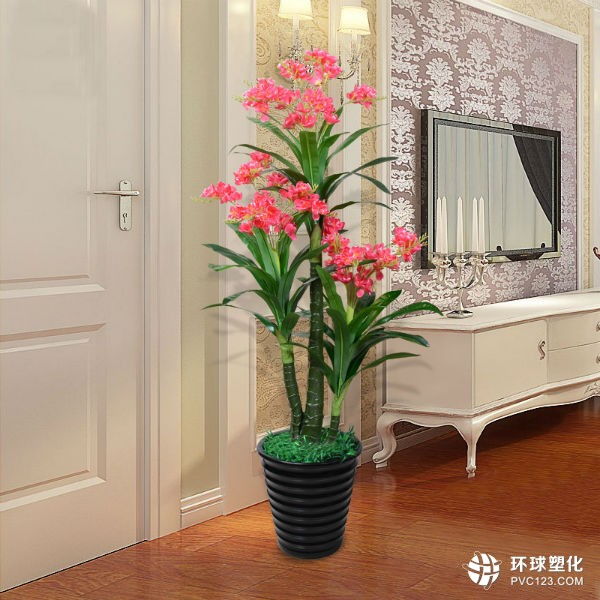 一、  空间格局与“明堂”理论的现代阐释