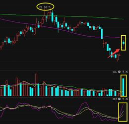 个体差异性及灵性因素影响