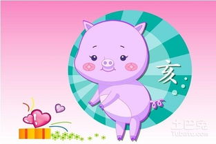 属狗人住房风水的核心原则