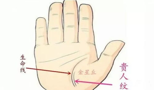 四、双鱼筋：文雅清高的精神世界