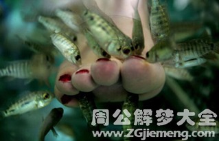 女人梦见被鱼咬预示着什么这是否意味着即将发生某种特殊的事情？
