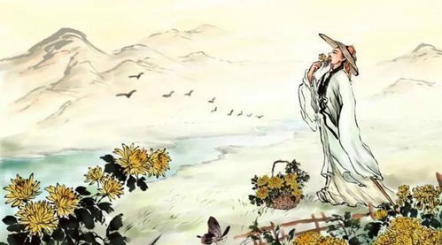 高分推荐的神仙贺姓女孩名字