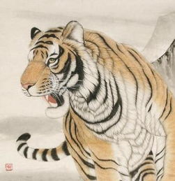 男属金女属虎八字合不合？属虎亥时女命理分析结果如何？