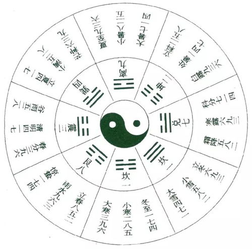 一、 己干的本体属性及其在天干体系中的定位