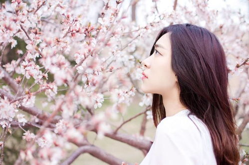 1.2 风水与环境：潜在影响力的不可忽视