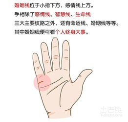 三条婚姻线的形态特征及其象征意义