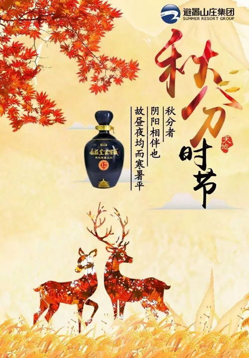 二、 风水学视角下的“阴阳平衡”原理