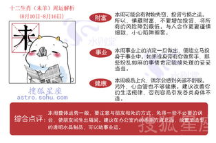 本周十二生肖下周运势周评具体指的是什么？