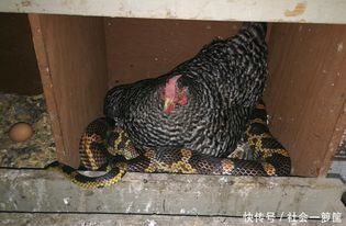 风水解读