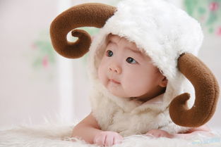 属羊起名有哪些宜忌，如何给羊宝宝起一个好名字呢？