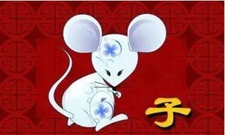 属鼠近期运势每日具体表现是怎样的？