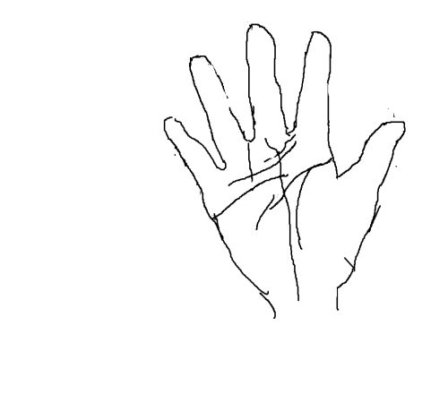 四、  线条长度与平行线：长远眼光与自我中心的矛盾