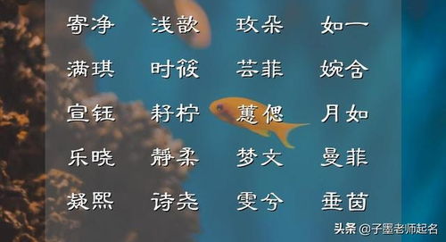 带有“森”字的女孩名字， 各自美良好寓意（但别问我为哪些这么更多森字）