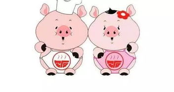 属猪的人12月有哪些结婚吉日？哪个月份最适合属猪人结婚？