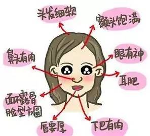 二、 毛发柔软：温柔细腻的内在与和谐的感情