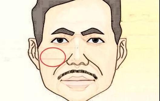 现代科学与心理学视角的审视：面相学的局限性