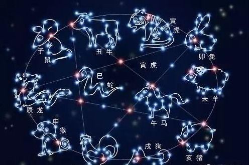 2026年蛇年属相中哪些不宜生子？蛇年五行属性具体指什么？