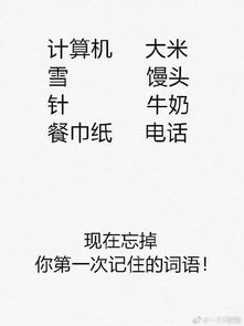 猴子：社交润滑剂与幽默智慧的运用