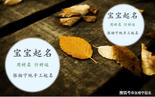 以珍宝字或女性用品为名