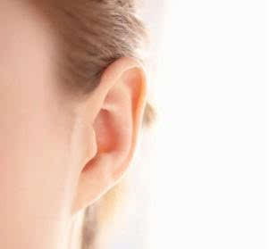 2. 细致谨慎与巨细靡遗