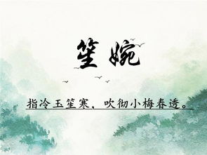 第二章：噪音与情感——让名字不那么死板