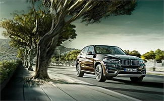 生辰八字和五行：一堆数字和符号的神秘力量