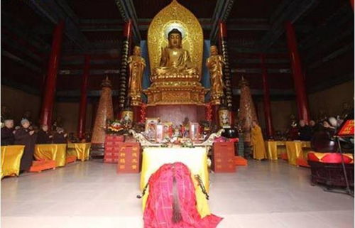 ：惯与生命流转与因果律则的深层透视