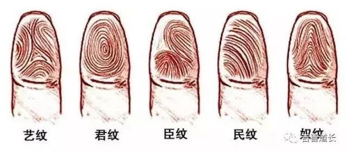 二、 各手指象征意义的系统阐释