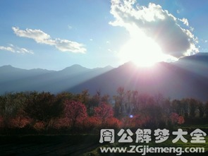 1．基本象征意义——突发事件的警示