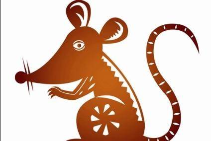 96年属鼠人2026年几月生育最适宜，他们当年会迎来新生命吗？