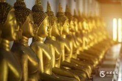 其他命格的兼容性分析：长流水与山头火