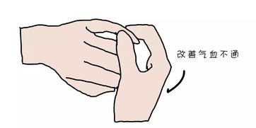 2. 食指：权力欲望与进取心的体现