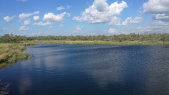 路上那些糟心事儿