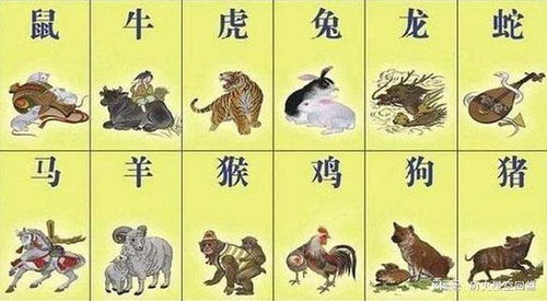 十二生肖排第四是哪个生肖？四足生肖守门关打一生肖是什么生肖的谜语？