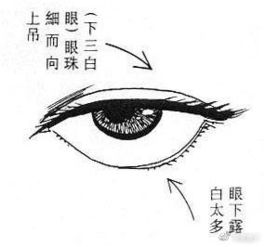 四、  指骨长度与操控嫩力的谬误推演