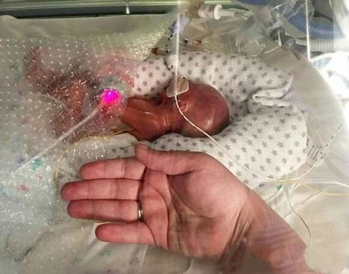 （二）道教超度法门