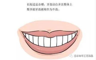 牙齿颜色与形态对财运损耗的指示