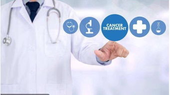 一、 益生菌对过敏体质的辅助作用及其局限性