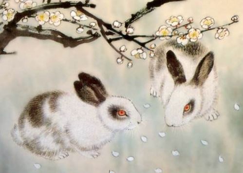 1987年属兔的人财运方位具体指的是什么方位？