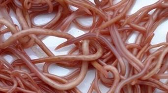 梦见手抓大便或用手扣屎预示着什么含义？