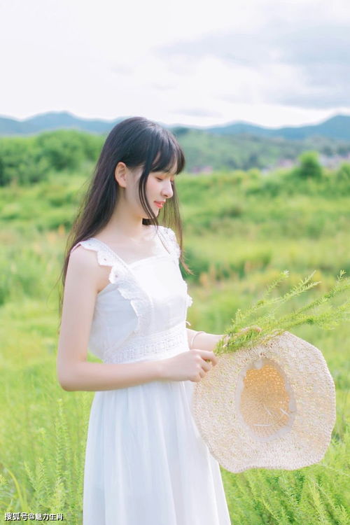 身较高差异与生肖性别偏良好概述