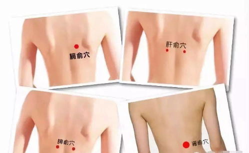七、 神奇数字与时间段表（纯属娱乐活动）
