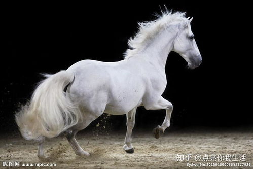 属马的人下个月会有贵人相助吗？猴是马的文昌贵人具体是什么含义呢？